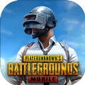 地铁逃生(PUBG MOBILE)